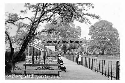 pt8526 - Beechfield Garden , Doncaster , Yorkshire - Print 6x4