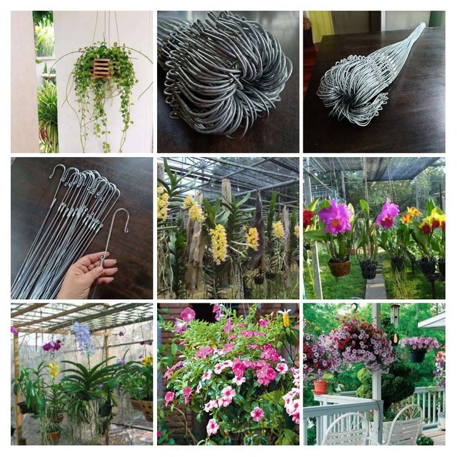 20 pcs Hanger orchid wire plants hanging garden ornamental flower Vanda