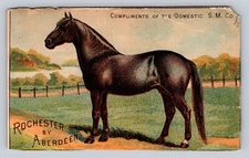 Domestic Sewing Machine Horse Rochester By Aberdeen P817