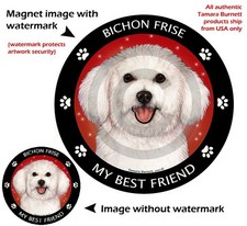 Bichon Frise My Best Friend Dog Car Magnet