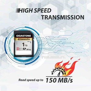 GIGASTONE 1TB 4K Camera Pro SD Card