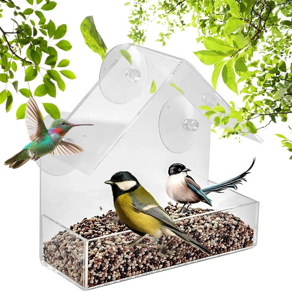 Clear Acrylic Window Bird Feeder with Suction Cups – Up Close Bird Watching Fun
