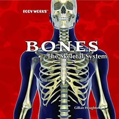 Bones : The Skeletal System Library Binding Gillian Houghton