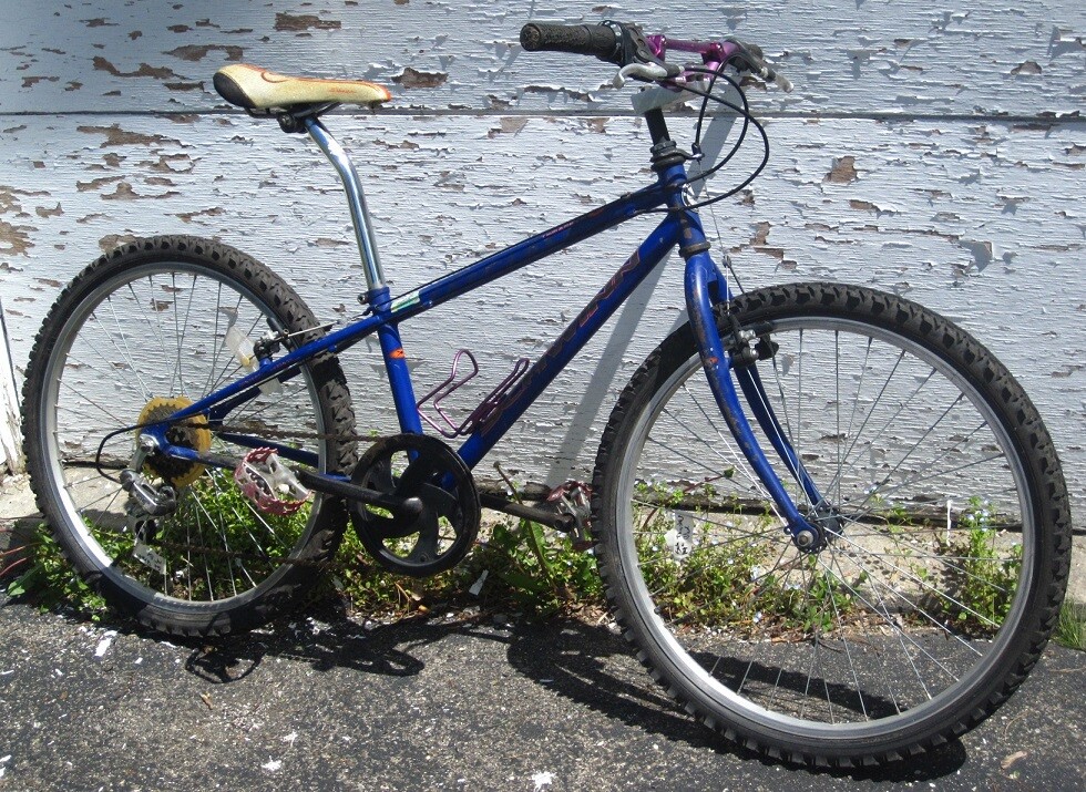 Schwinn Thrasher Concept Blue Bmx Bike 24