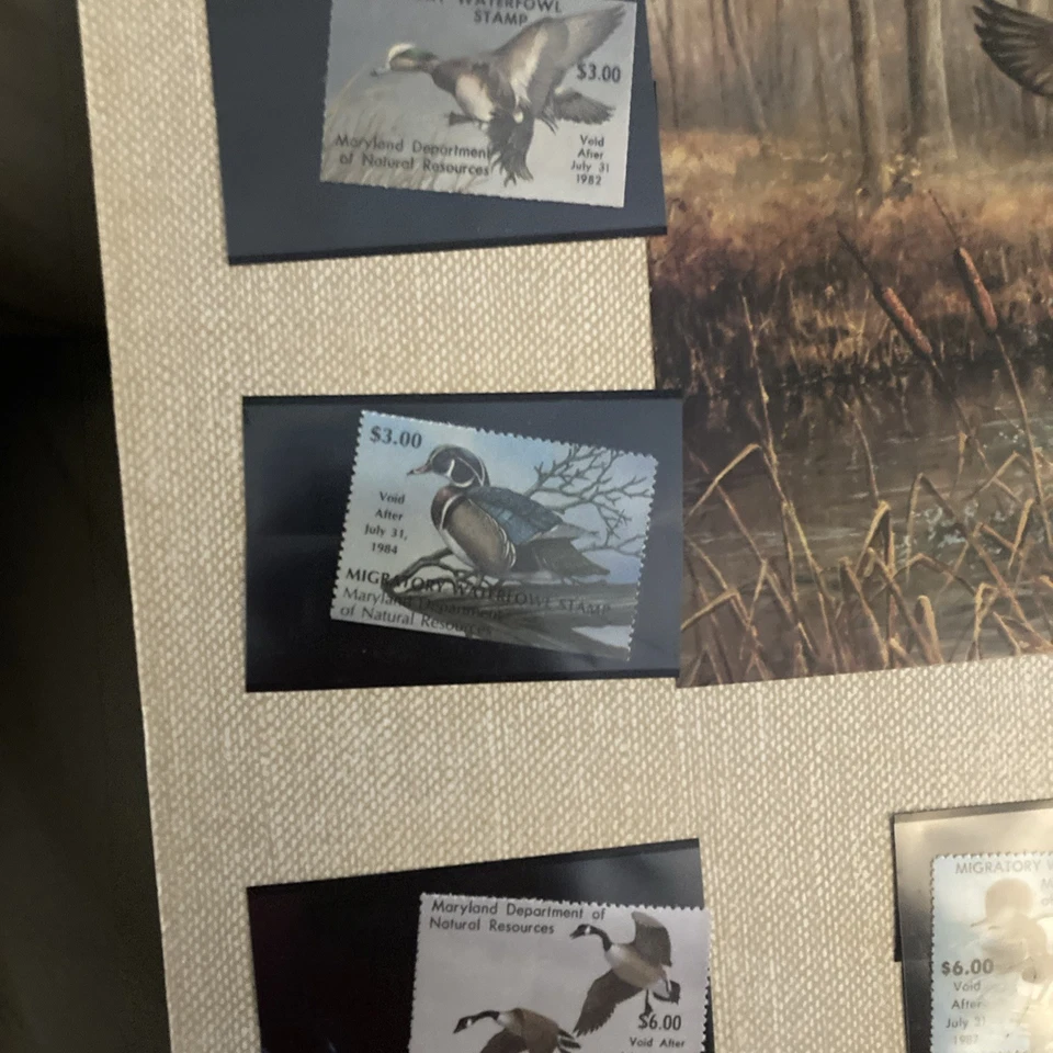 Maryland Migratory Waterflow Stamp Display - Image 4 of 4