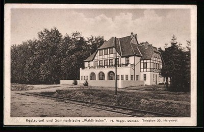 AK Dünsen bei Harpstedt, Restaurant-Sommerfrische Waldfrieden H. Rogge 