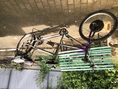 tandem gumtree