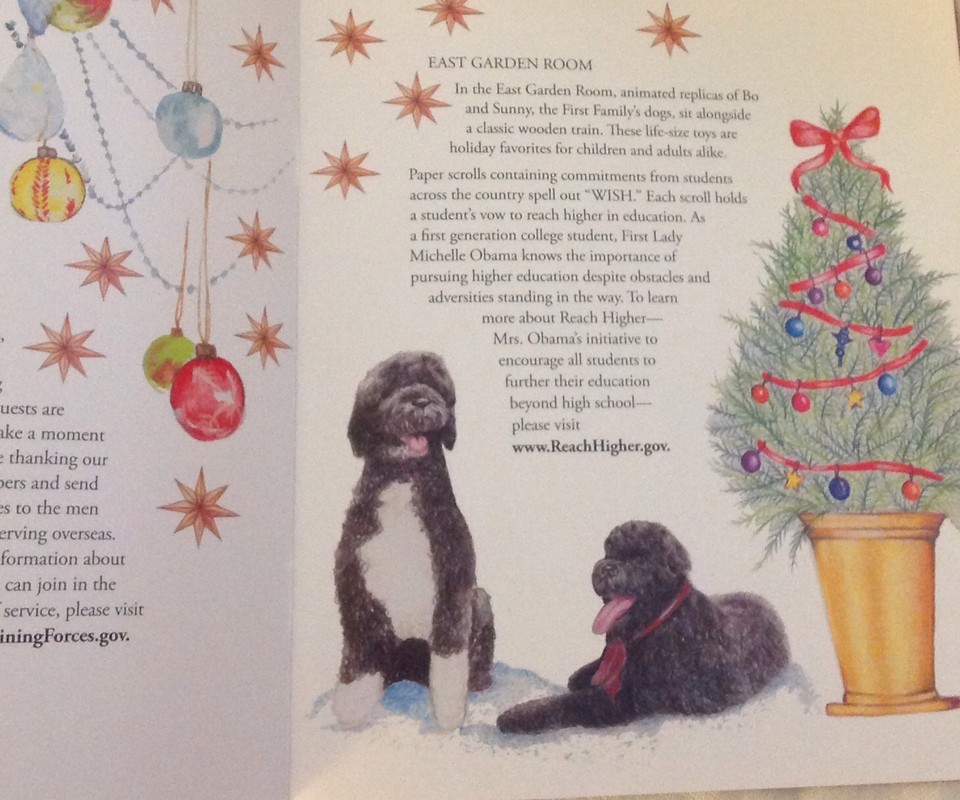 TWO OBAMA CHRISTMAS 2015 HOLIDAY WHITE HOUSE TOUR BOOKS PRESIDENT BOOK two-obama-christmas-2015-holiday-white-house-tour-books-president-book