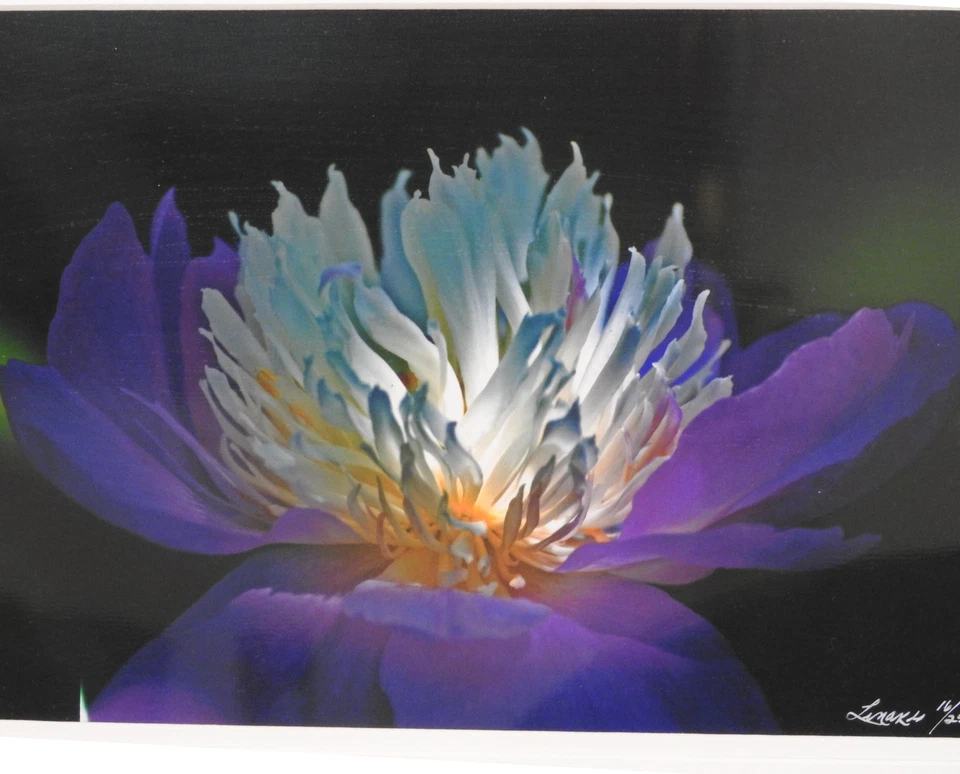 Perfecto #16 de 250 18"x24" Color Fotografía Profesional Marco Mat Flor Foto 4 de 4