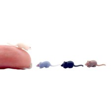 Miniature Rats - 1:24 scale dollhouse art craft supply (Set of 5)