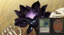 DDWizard's Chaos Packs Magic- The Gathering Repacks Guaranteed Rares + Bonuses
