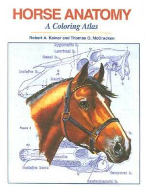 #ad Horse Anatomy: A Coloring Atlas 2nd Edition Spiral bound GOOD $25.19