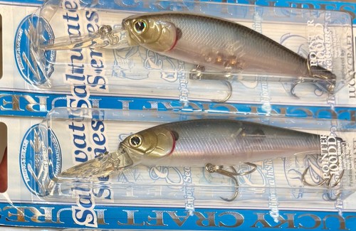 (2) Lucky Craft Pointer 100DD Deep Diver Suspending Jerkbait -Salty Ghost Minnow - Picture 5 of 10