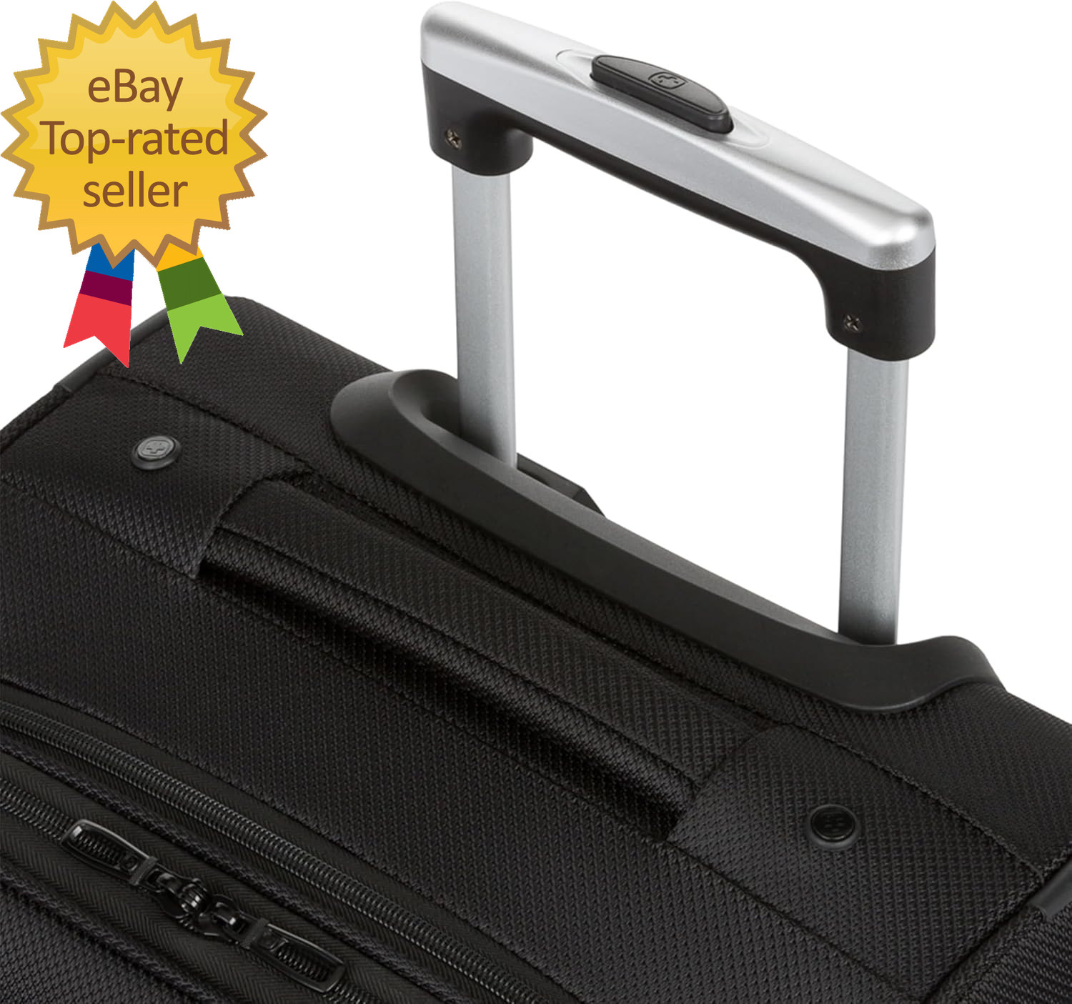 Sion Softside Expandable Luggage, Black, Checked-Large 29-Inch