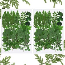 42 Pieces Dried Pressed Leaves for Resin Real Various Shades of Green