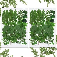 42 Pieces Dried Pressed Leaves for Resin Real Various Shades of Green 