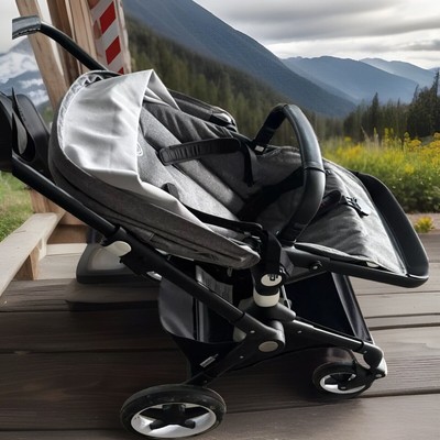 Kinderwagen Bugaboo Lynx 3:1 Komplettpaket