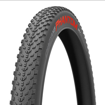 Reifen CHAOYANG 29x2,2 PHANTOM DRY 60TPI Tubeless Ready 2C
