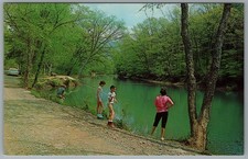 Alvon West Virginia Blue Bend Recreation Fishing Anthony Creek c1963 Postcard