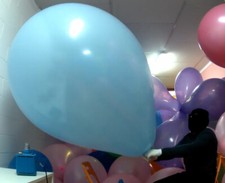 1 South American 40 - 45 inch  RARE  looner very strong big balloon looner