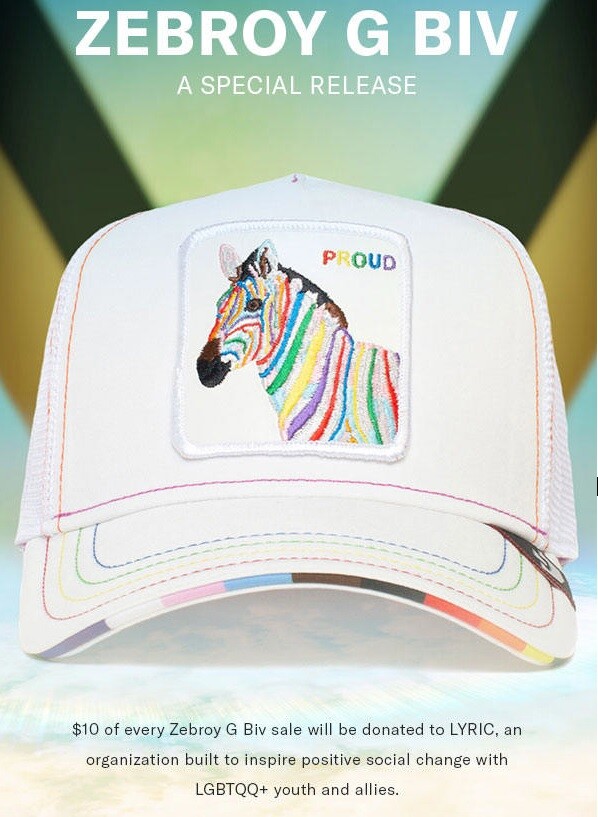 Goorin Bros Zebra Proud Hat Goorin Bros. Zebra Trucker Hat - Men main image 4
