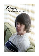 Brian Wilson The Beach Boys 2