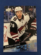 2020-21 Upper Deck Young Guns #466 Jordan Gross Arizona Coyotes