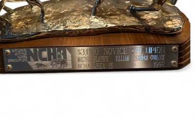 最終価格❗️HO、ナロー✨️9㍉✨️ 真鍮製✨️鉱山用貨車✨️計 3両 1992 NCHA Novice Champion Jim Reno Silver Plated Cutting Horse