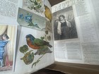 Antique Victorian Scrapbook Album c1880 Die Cuts Prints Lithographs White Mtns — photo 10