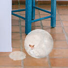 Bild 3 von 12