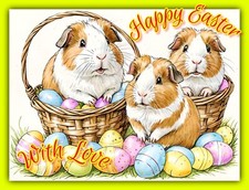 Guinea Pig Easter Day Card Greeting Blank Day Spring A5 Love Cards Kids Pet Pigs