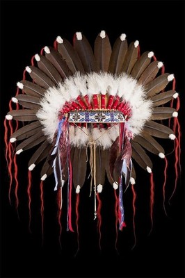 Native American Indian Head Dress Print Wall Art Home Decor - POSTER 20x30
