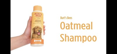 #ad 4 b x $ 20.00 Burt#x27;s Bee For Dog Oatmeal Shampoo 32 OZ 4x $20. $20.00