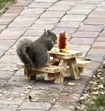 Handmade Squirrel Picnic Table Feeder