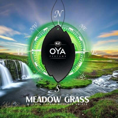 K2 OYA MEADOW GRASS / WIESENGRAS Luftauffrischer