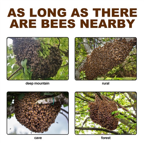 Señuelo de apicultura atractivo enjambre de feromonas de abeja apicultor 60 ml - Imagen 2 de 10