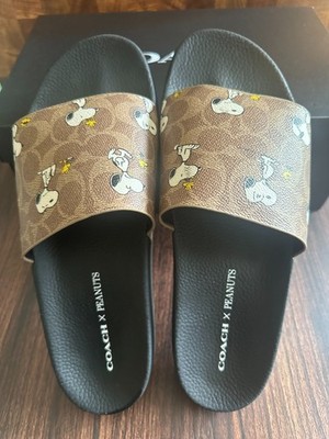 NWT Coach X Peanuts Mens Udele Sport Slide Sig Snoopy Print CBM96