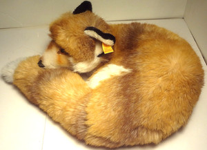 Fox Steiff | eBay