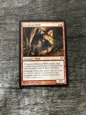 MTG 1x Pyreheart Wolf x1 LP Dark Ascension
