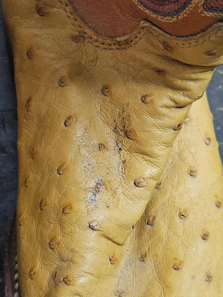 Botas Justin “Buttercup” Pluma Completa Avestruz Tekno Crepe L8961 5.5 C Juveniles Foto 3 de 4