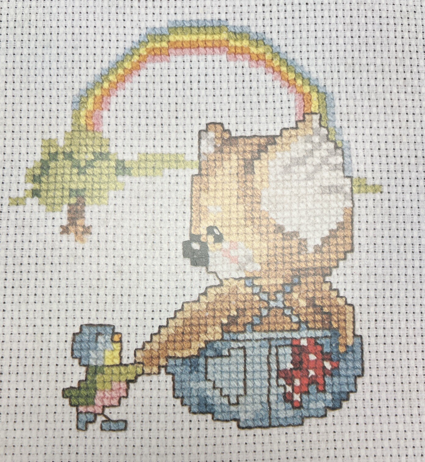 Picture 5 of 5