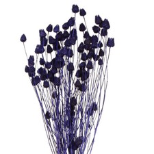 Erdbeerdisteln Dekoblumen Violett 44-58cm 100g