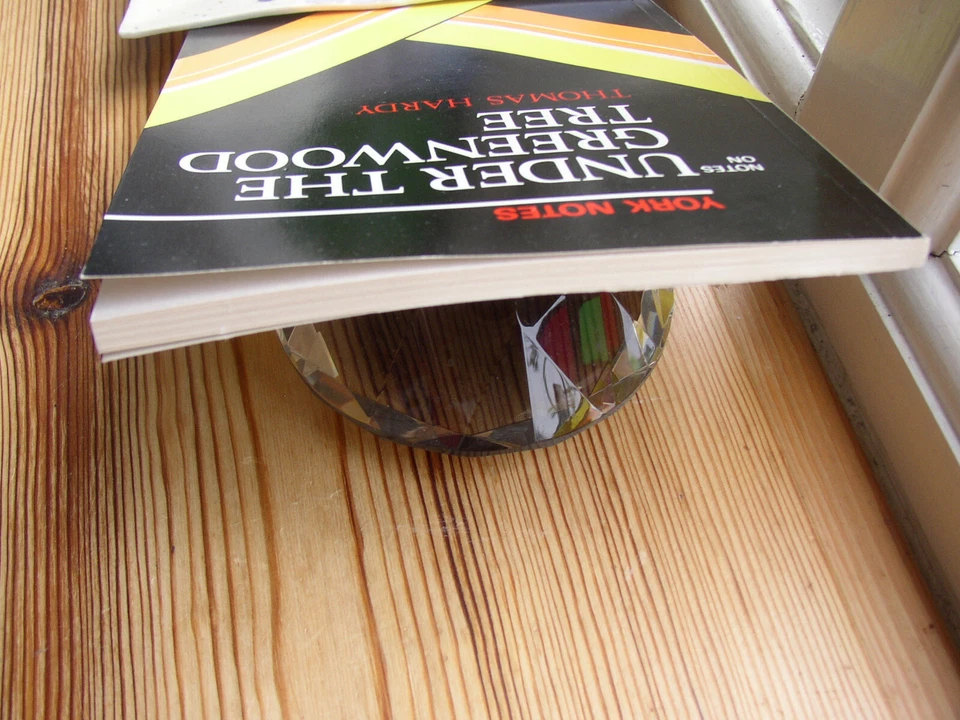 Unread York Notes on Under the Greenwood Tree Thomas Hardy Study guide Revision - Image 4 of 4