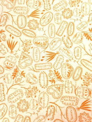Spellcaster s Garden by Meg Hawkey of Crabapple Hill Studio Orange White 1 Yard
