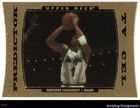 1996 Upper Deck Basketball Anfernee Hardaway #TV13