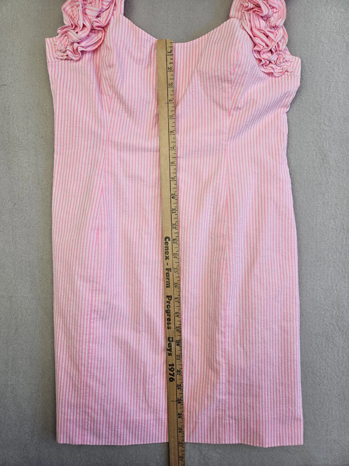 Lilly Pulitzer Size 10 Devina Lined Mini Dress Pink Cosmo Stripe Seersucker Foto 3 de 4