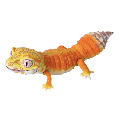 Bandai Gashapon Leopard & Crested Gecko Action Figure Best
