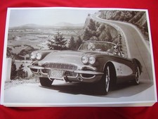 1961 Chevrolet Corvette Convertible  11 X 17 Photo  Picture