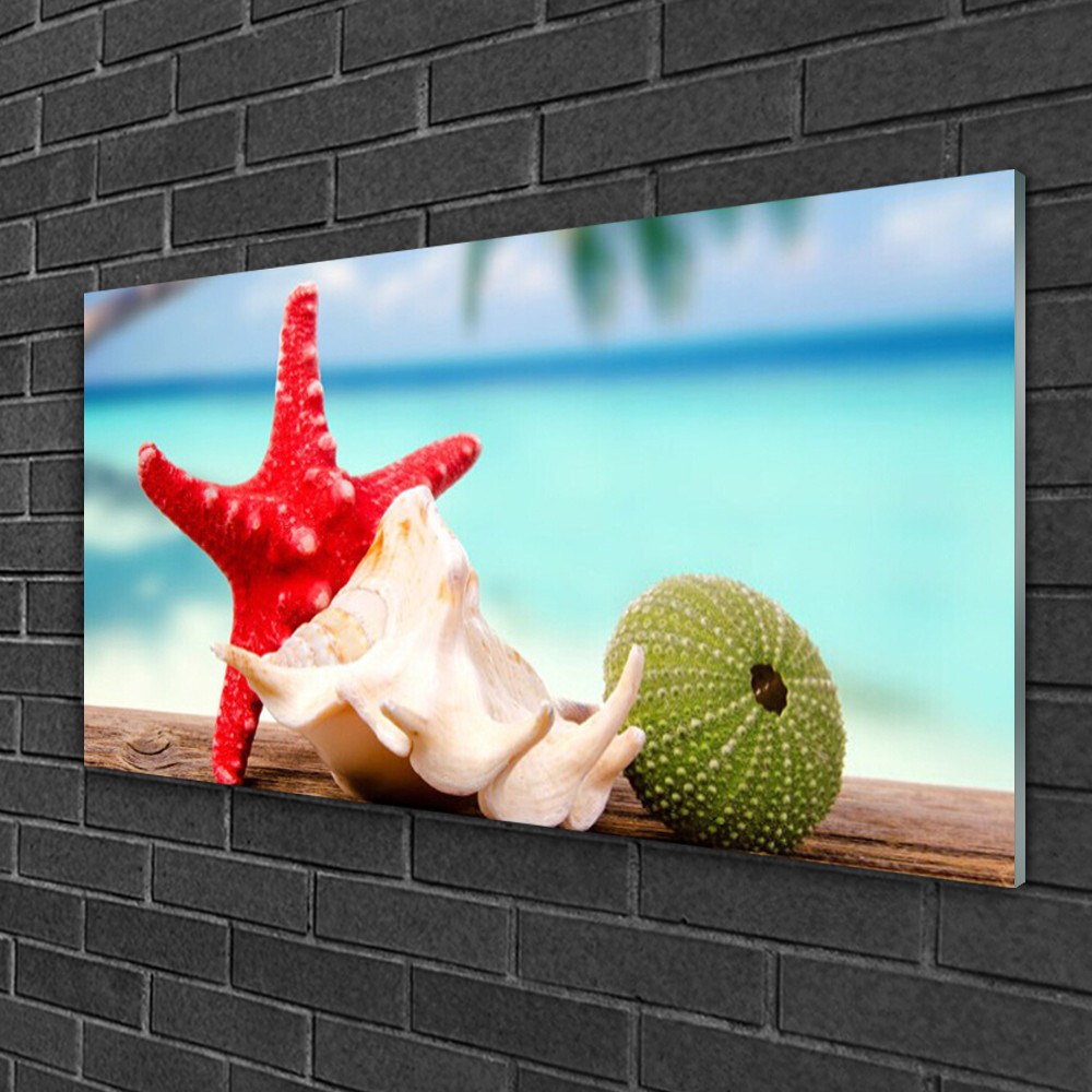 Tableau sur verre Étoile De Mer 100x50 cm finition brillante pour galerie d'art à la maison