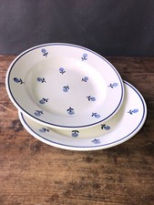 Lotto Di 2 Antica Piatti Cava Annette Maiolica Di Givors Arte Di La Tavola